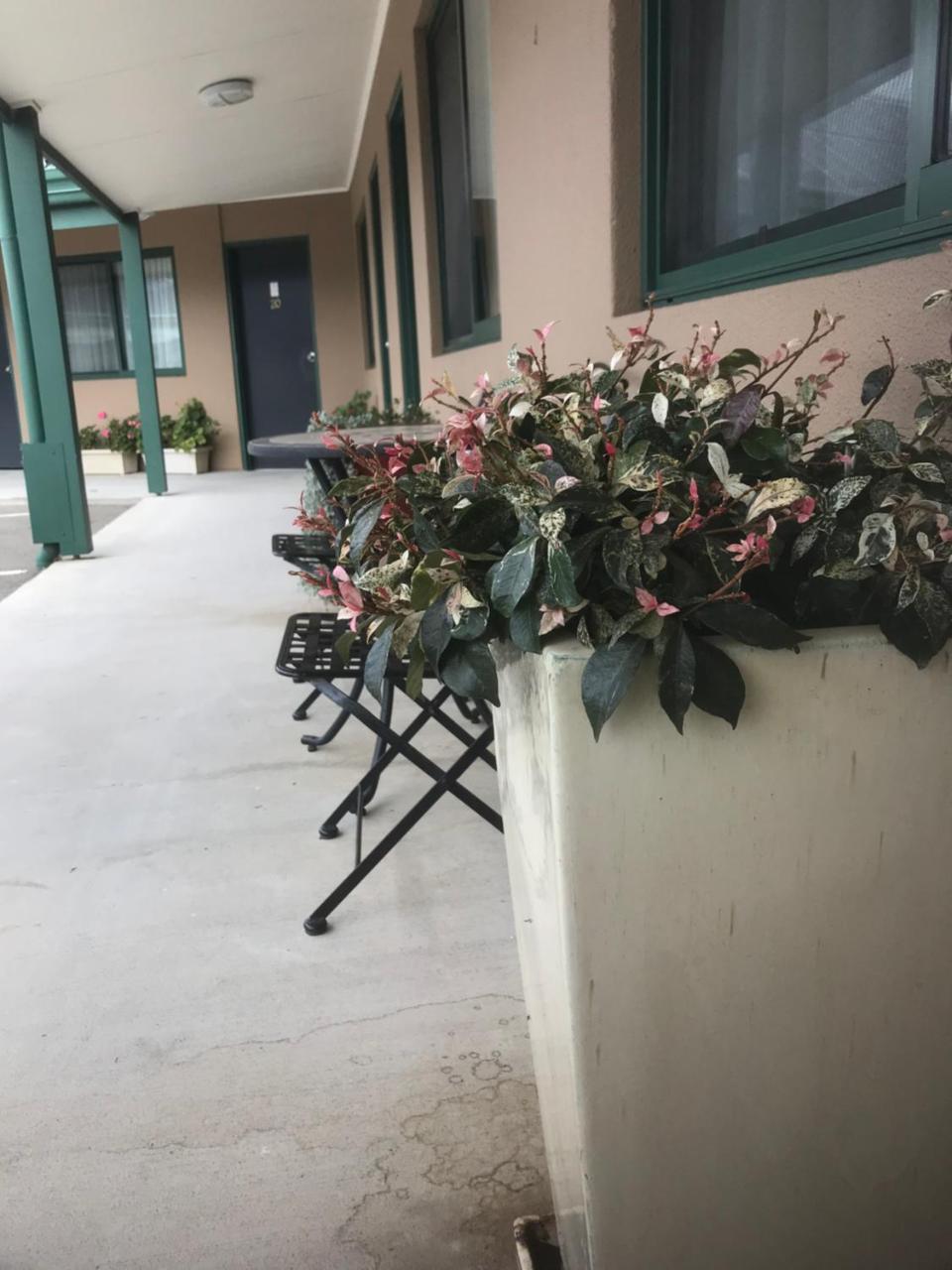 The Bakehouse Motel ゴールバーン エクステリア 写真