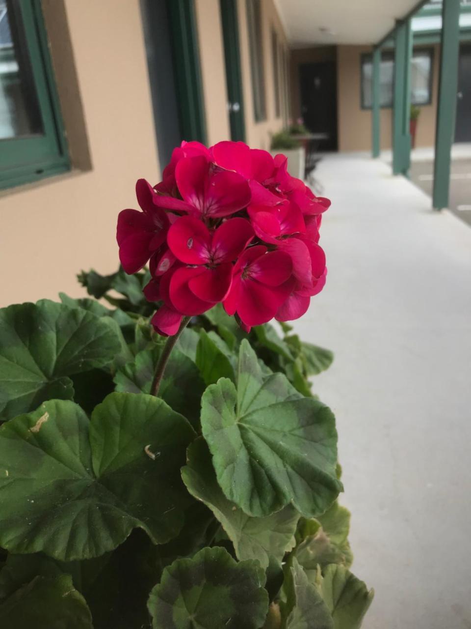 The Bakehouse Motel ゴールバーン エクステリア 写真